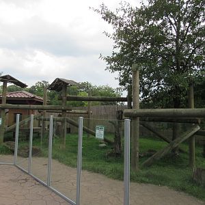 Asia - Red Panda, Reeve's Muntjac Exhibit