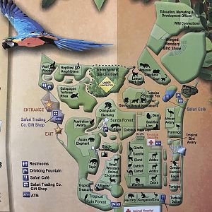 Zoo Map - 2011