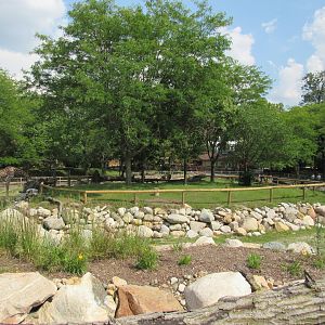 Africa - Giraffe Savanna elevated view
