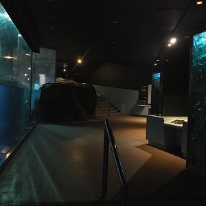 View in Subantarctic penguin house Vriesland, 2022-08-16