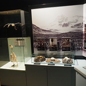 Penguin education, 2022-08-16