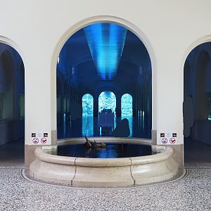 Aquarium, 2022-08-16