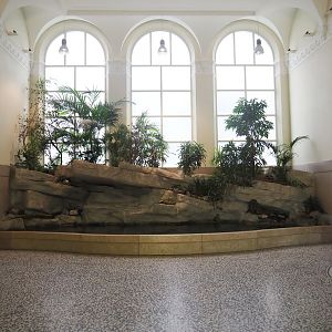 Aquarium entrance hall with Koi, larger goldfish and Chinese high-fin banded shark pond, 2022-08-16