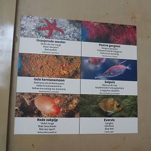 Examples of signage in the aquarium, 2022-08-16