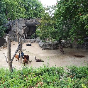 Alpaca paddock, 2022-08-16