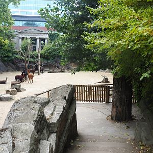 Alpaca paddock and alpaca viewing area, 2022-08-16