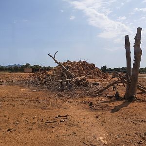 View in area for babboons in Safari area of the park