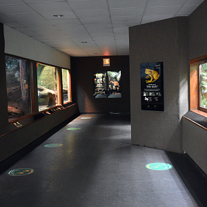 Jun. 2023 - World of Reptiles - Second Hallway