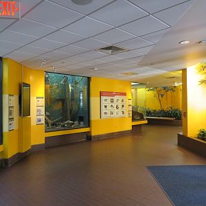 Inside Small Mammal House