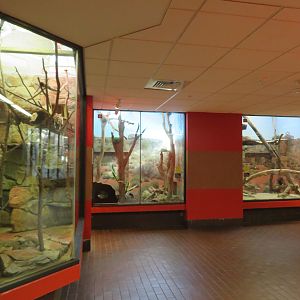 Inside Small Mammal House