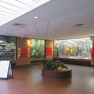 Inside Small Mammal House