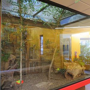 Striped Skunk Exhibit