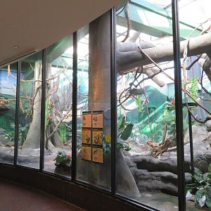 Large Tropical Exhibit