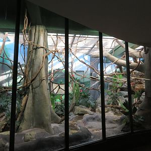 Large Tropical Exhibit