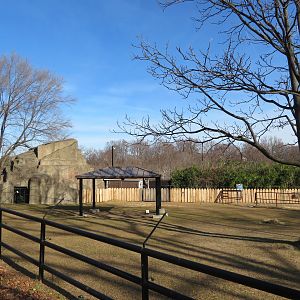 Przewalski's Horse Paddock