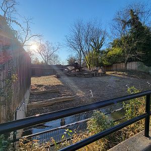 Smithsonian 2/22 - Rotational yard, held sitatunga at the time