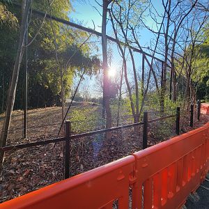 Smithsonian 2/22 -  Middle cheetah yard
