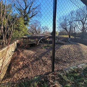 Smithsonian 2/22 -  Middle cheetah yard