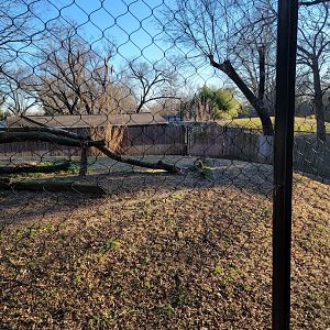 Smithsonian 2/22 -  Middle cheetah yard