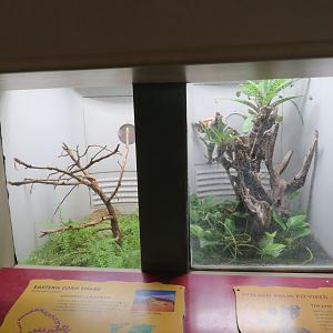 Small Snake Exhibits