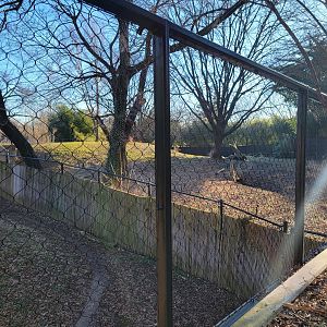 Smithsonian 2/22 -  Fence between cheetah yards