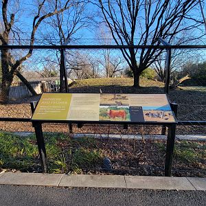 Smithsonian 2/22 -  Main/corner cheetah yard, Farmers and Felines