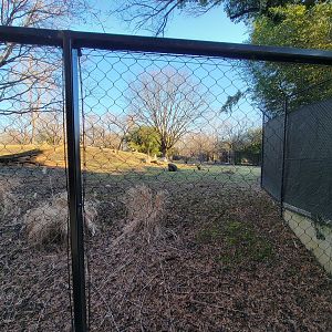 Smithsonian 2/22 -  Main/corner cheetah yard