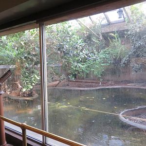 Cuban Crocodile Exhibit (1 of 2)