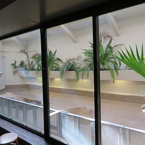 Indoor Giant Tortoise Holding