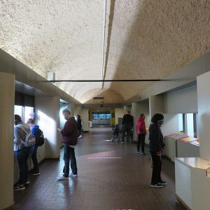 Inside of Reptile House