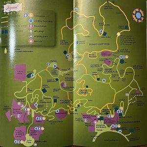 Zoo Map - 2013