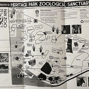 Zoo Map - 2017