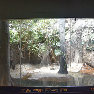 Jun. 2023 - World of Reptiles - Chinese Alligator + Cuban Crocodile + Dwarf Crocodile Exhibits