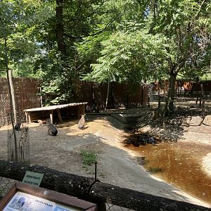 South American paddock