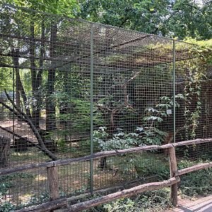 Brown lemur cage