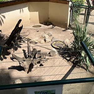 Hermann’s and greek tortoise enclosure.