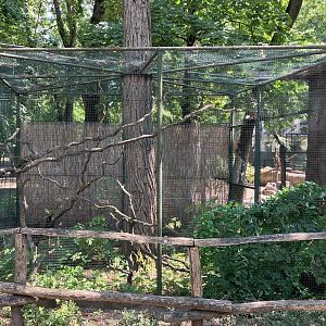 Cotton-top tamarin cage