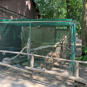 Squirrel monkey cage