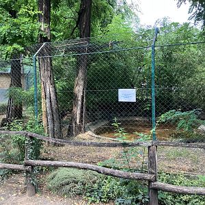 Jungle cat enclosure