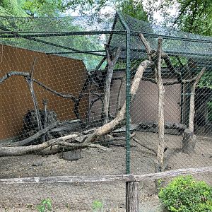 South American coati cage