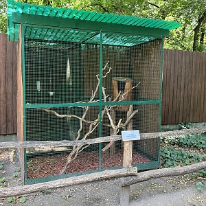 Canadian squirrel cage