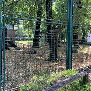 Asiatic black bear enclosure
