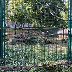 Hamadryad baboon enclosure.