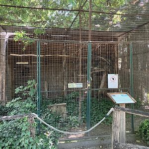 European eagle owl cage