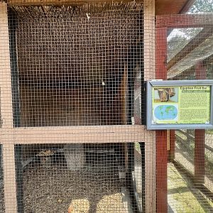 Egyptian Fruit Bat Exhibit