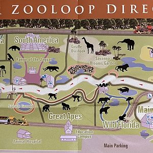Zoo Map - 2008