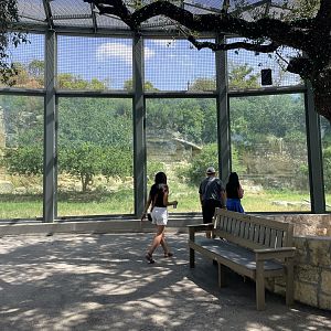 July 2023- Lion Viewing Gallery