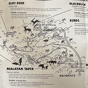 Maharajah Jungle Trek - Map