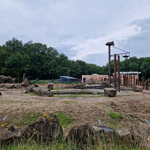 African Elephant yard