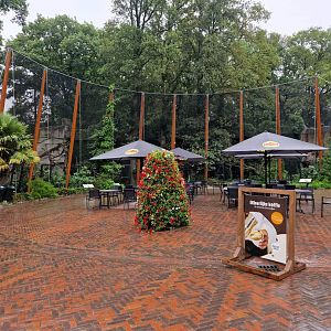 6 different Hornbill exhibits